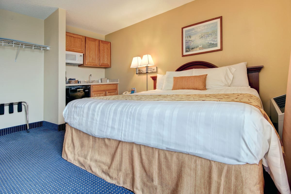 A hotel room with a bed, a microwave, a sink, and a painting on the wall.