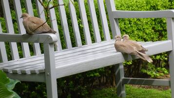 Situated in a serene garden, this bench offers a peaceful retreat for relaxation.