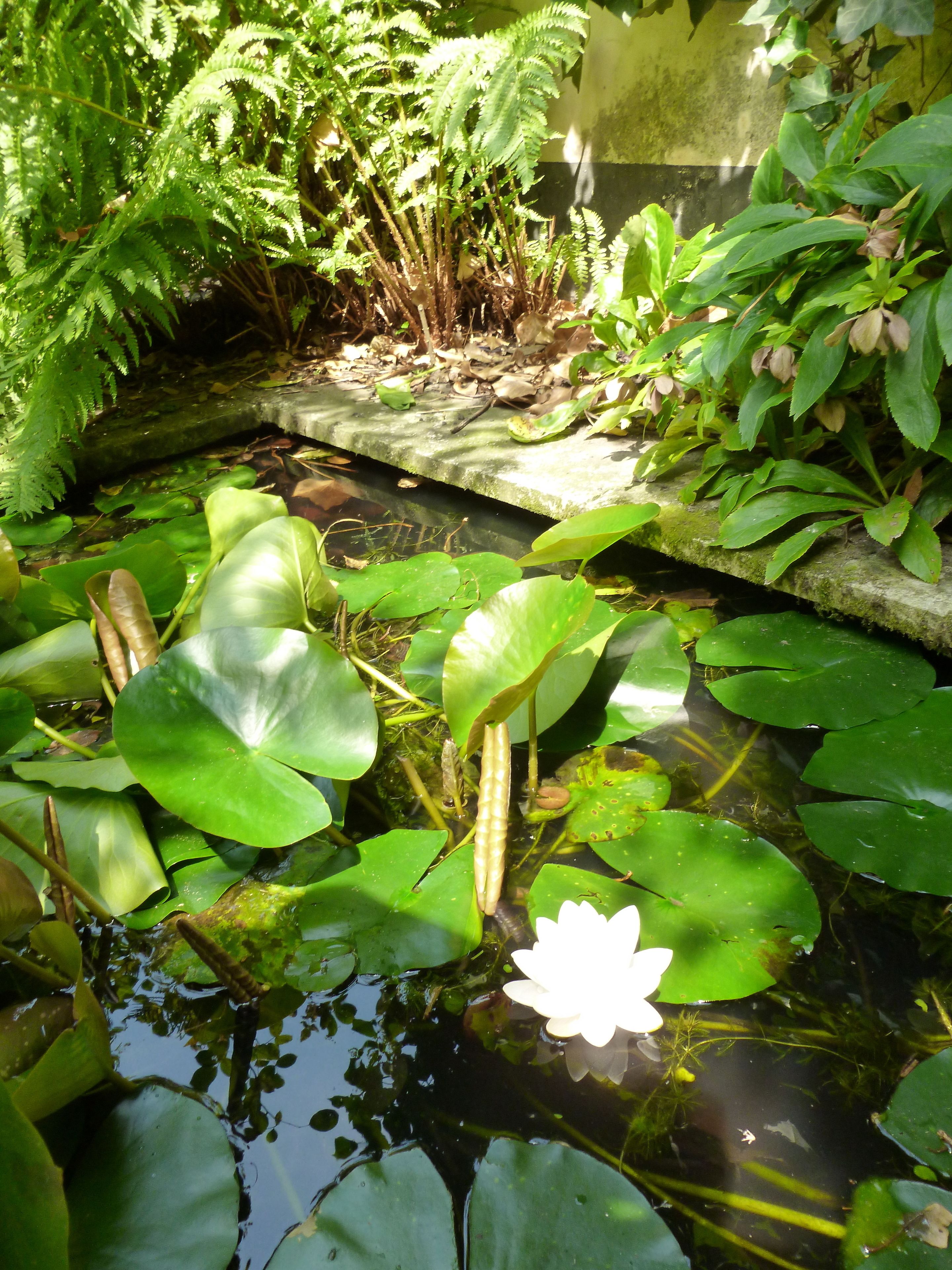 Foto - Hotel Alegria