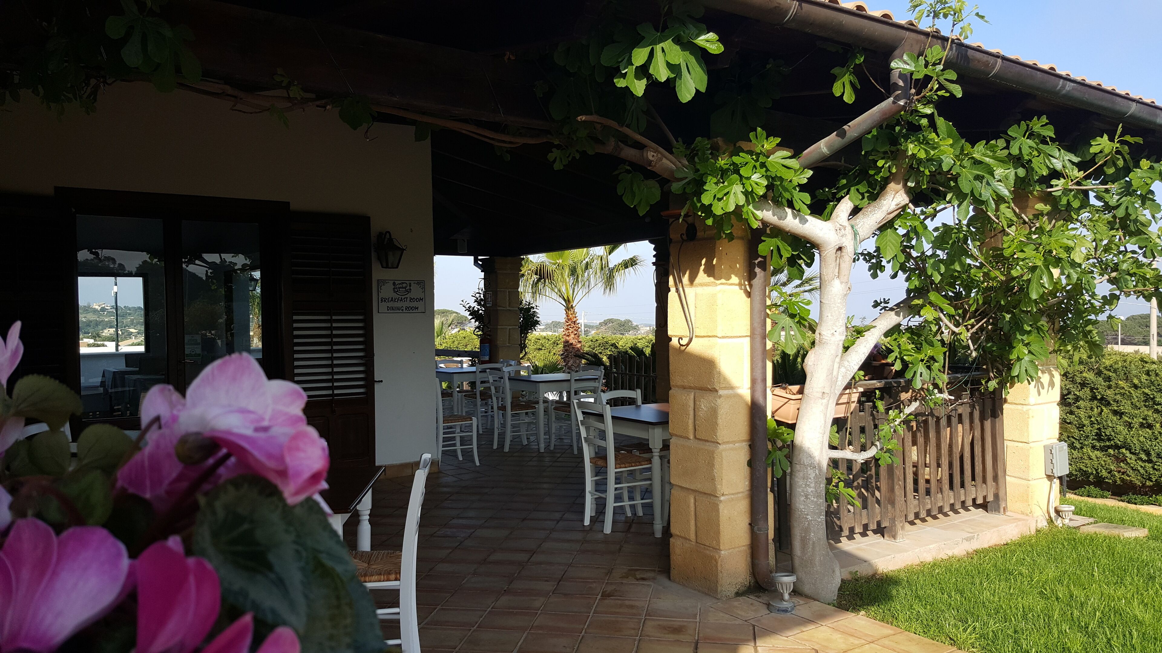 Giardino