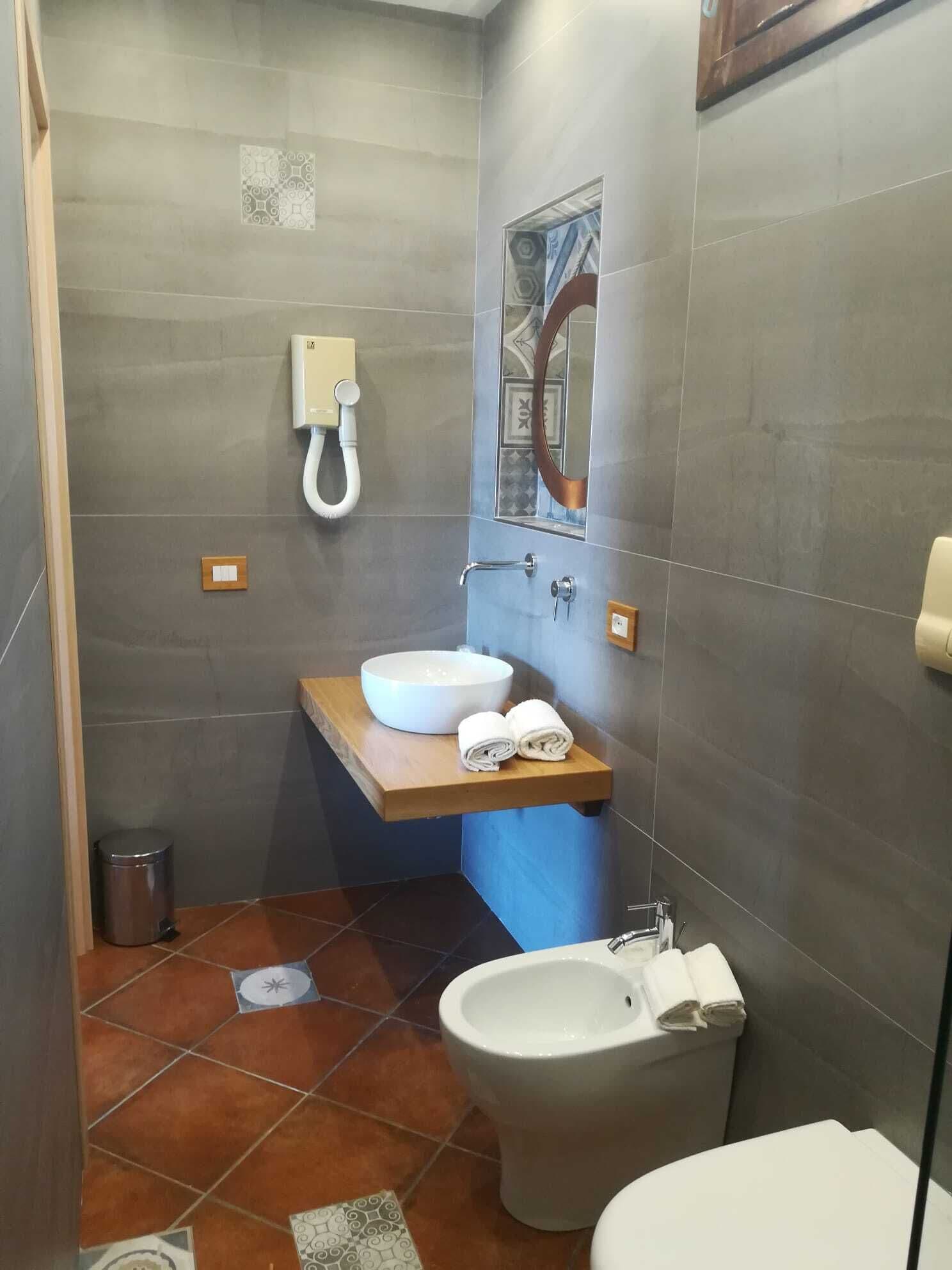 deluxe room | bathroom | shower, hydromassage showerhead, designer toiletries, hair dryer