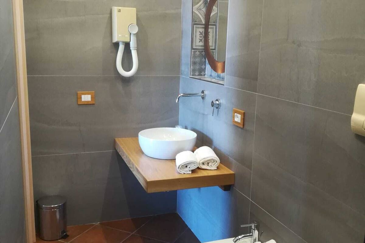 deluxe room | bathroom | shower, hydromassage showerhead, designer toiletries, hair dryer