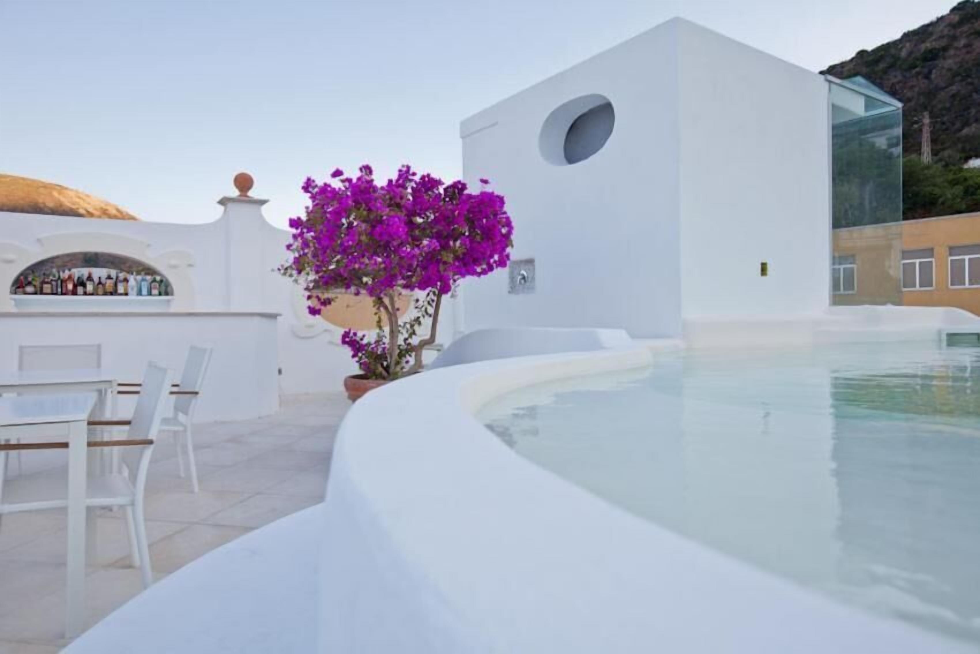 Um edifício moderno com piscina, paredes brancas e uma planta em vaso com flores roxas.