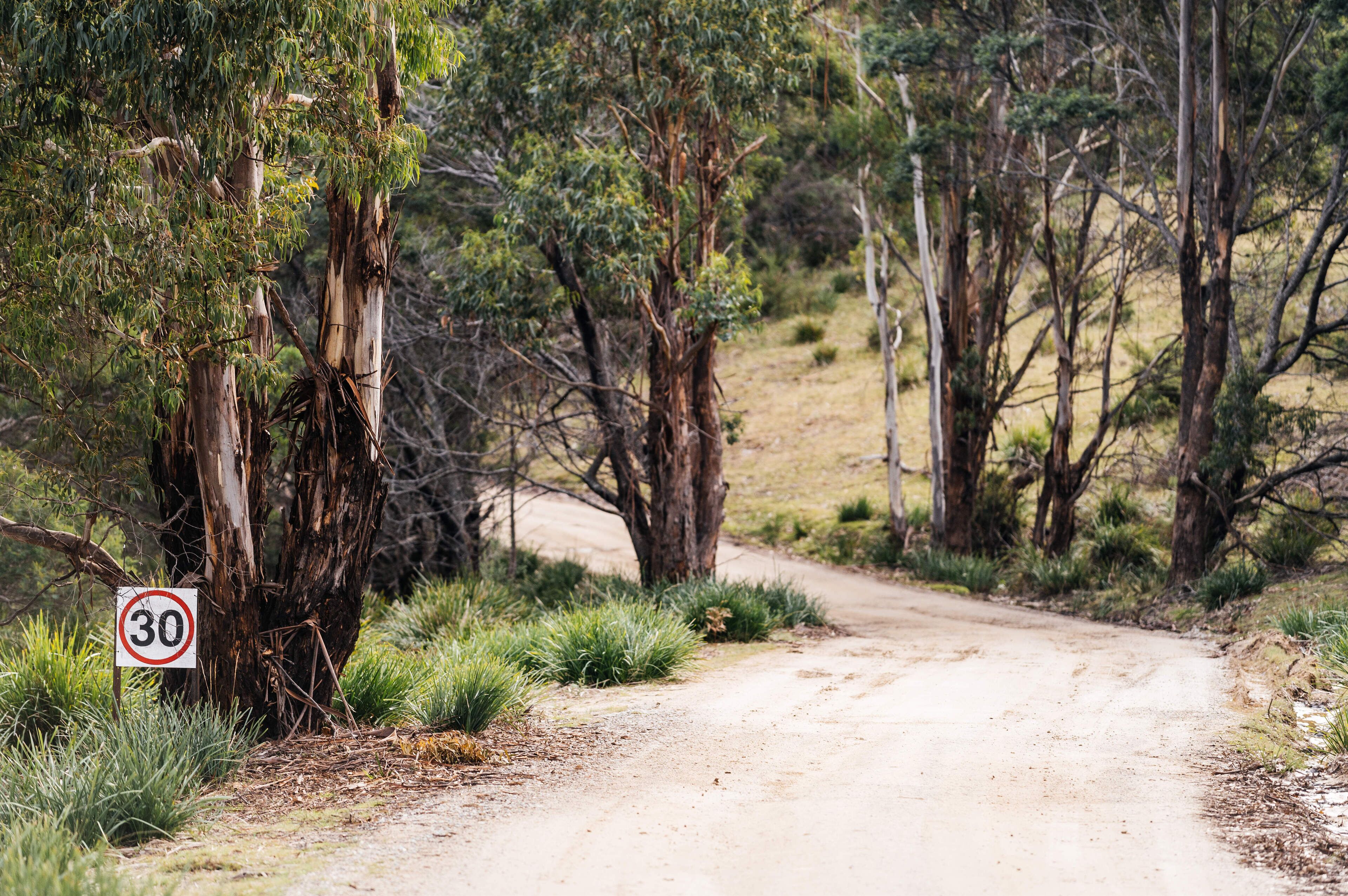 A dirt road with a speed limit sign of 30.