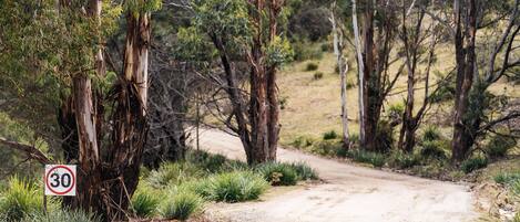 A dirt road with a speed limit sign of 30.