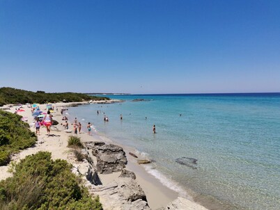 Tenuta Turchi