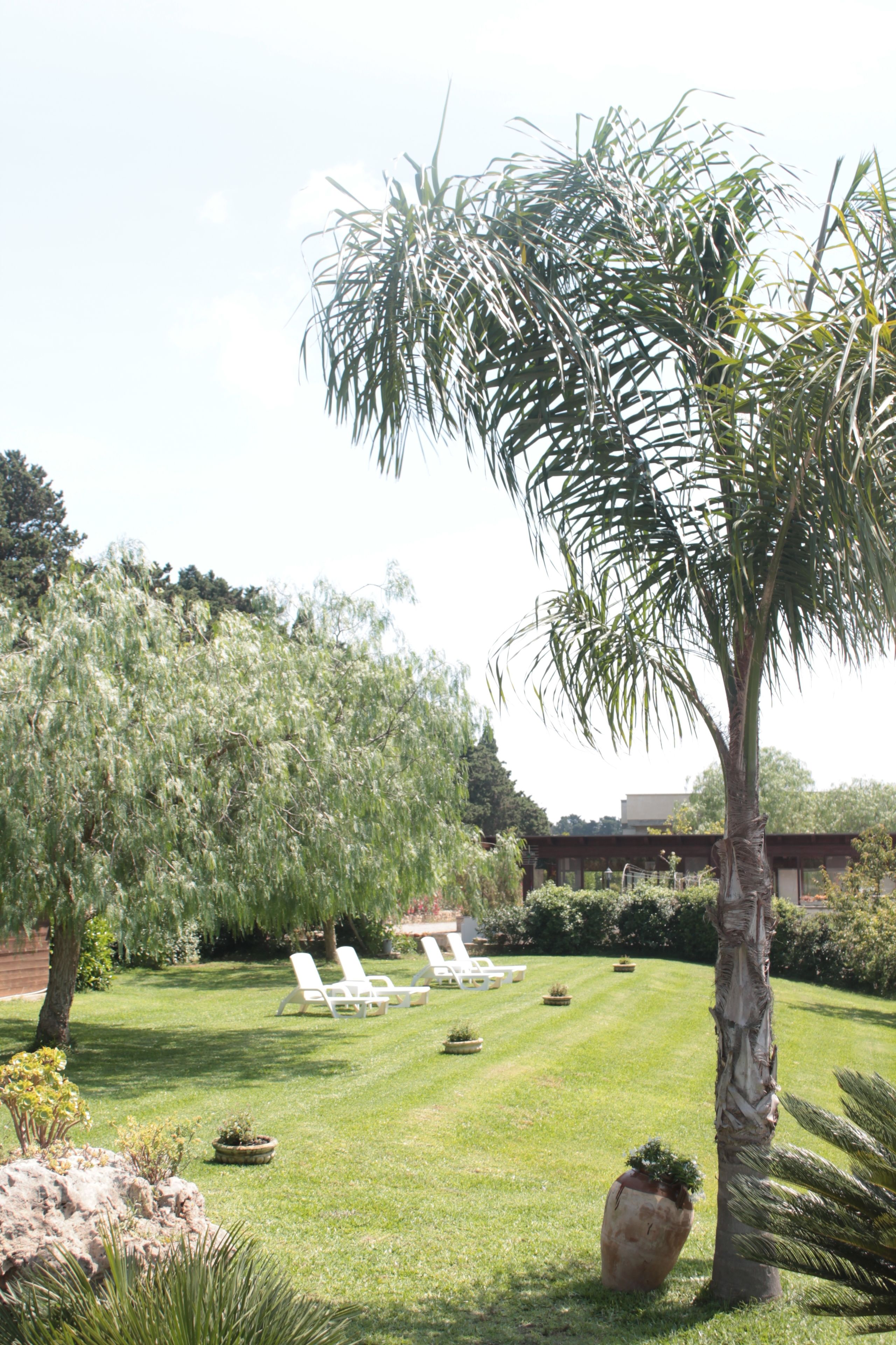 A well-maintained garden with a palm tree, white lounge chairs, and a lawn.