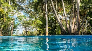Outdoor pool, sun loungers