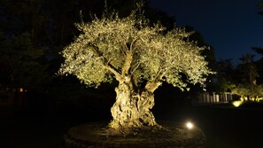 A large, illuminated tree sculpture in a circular stone base, surrounded by a paved area. - Hotel-Restaurant Les Oliviers (Loriol-sur-Drome)