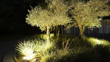 A well-lit garden with two trees and a pathway.