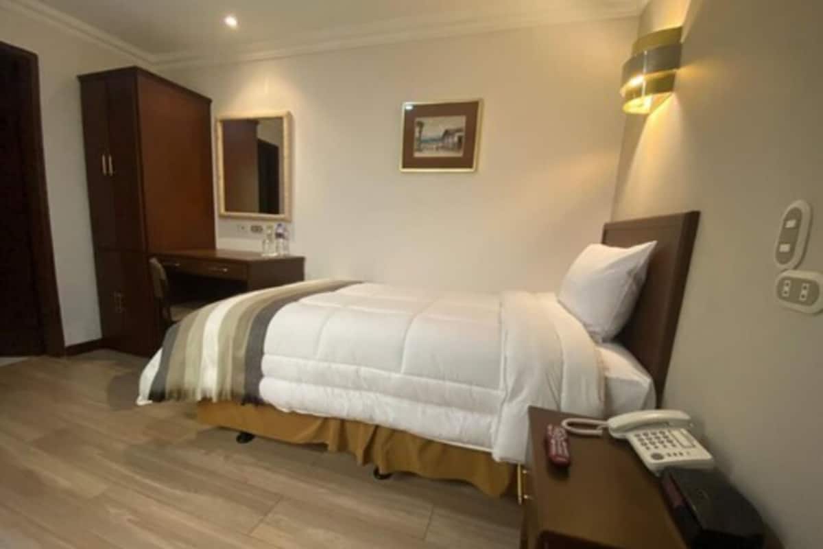 Una habitación de hotel con cama, mesita de noche, espejo, escritorio y armario.