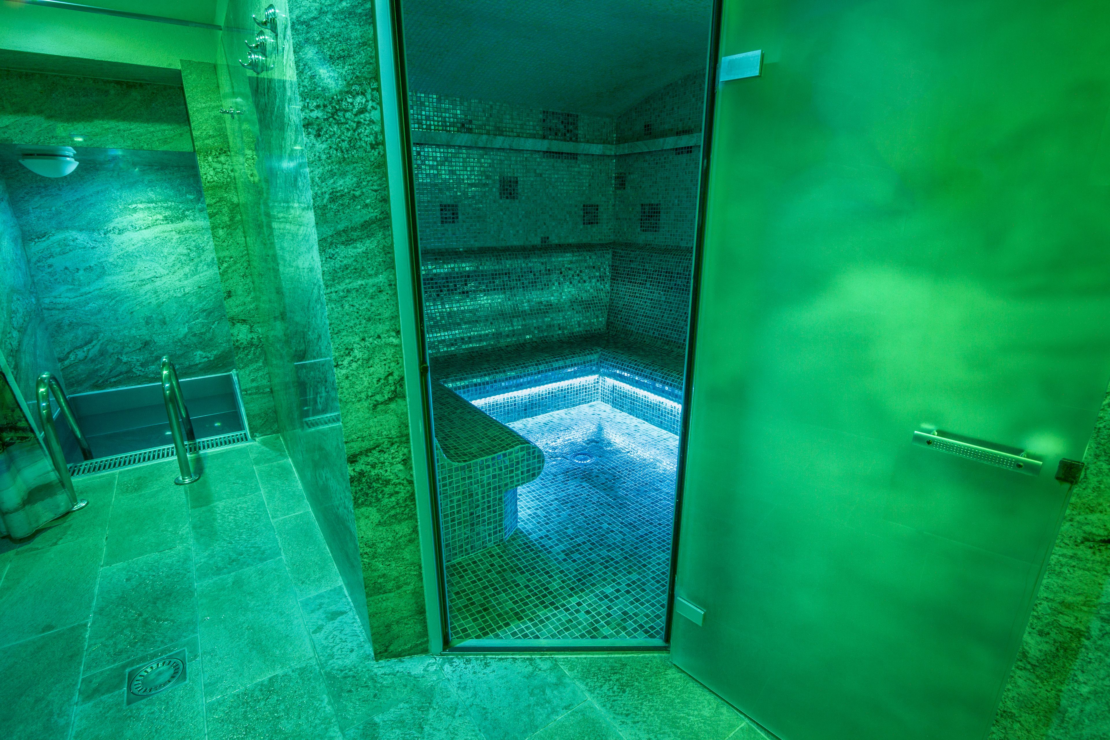 Sauna, hot tub, steam room