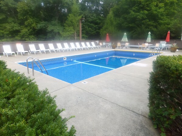 Outdoor pool, pool umbrellas, sun loungers