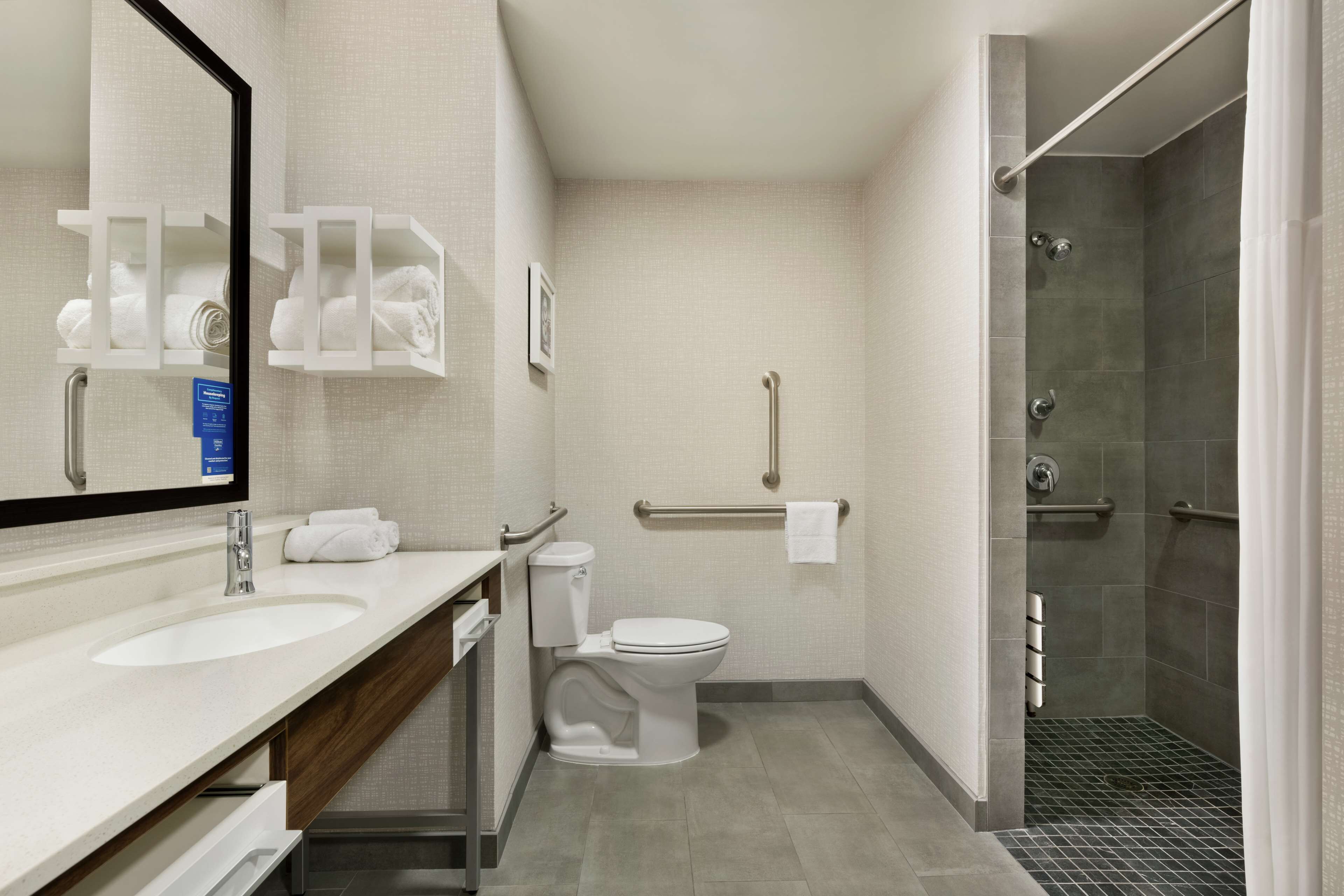 one king bed, non-smoking, roll in shower | bathroom shower