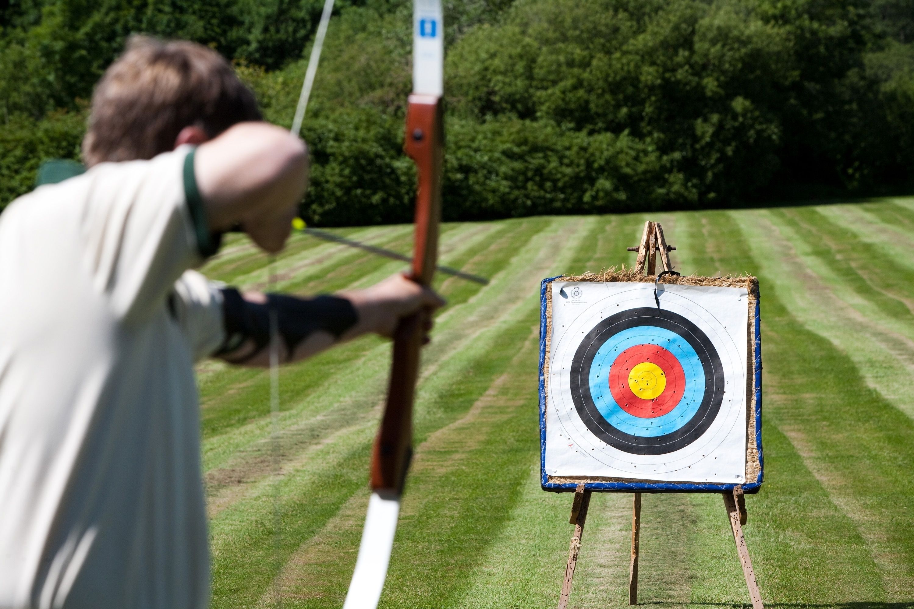 An outdoor target with concentric circles and a bullseye, set against a grassy field.