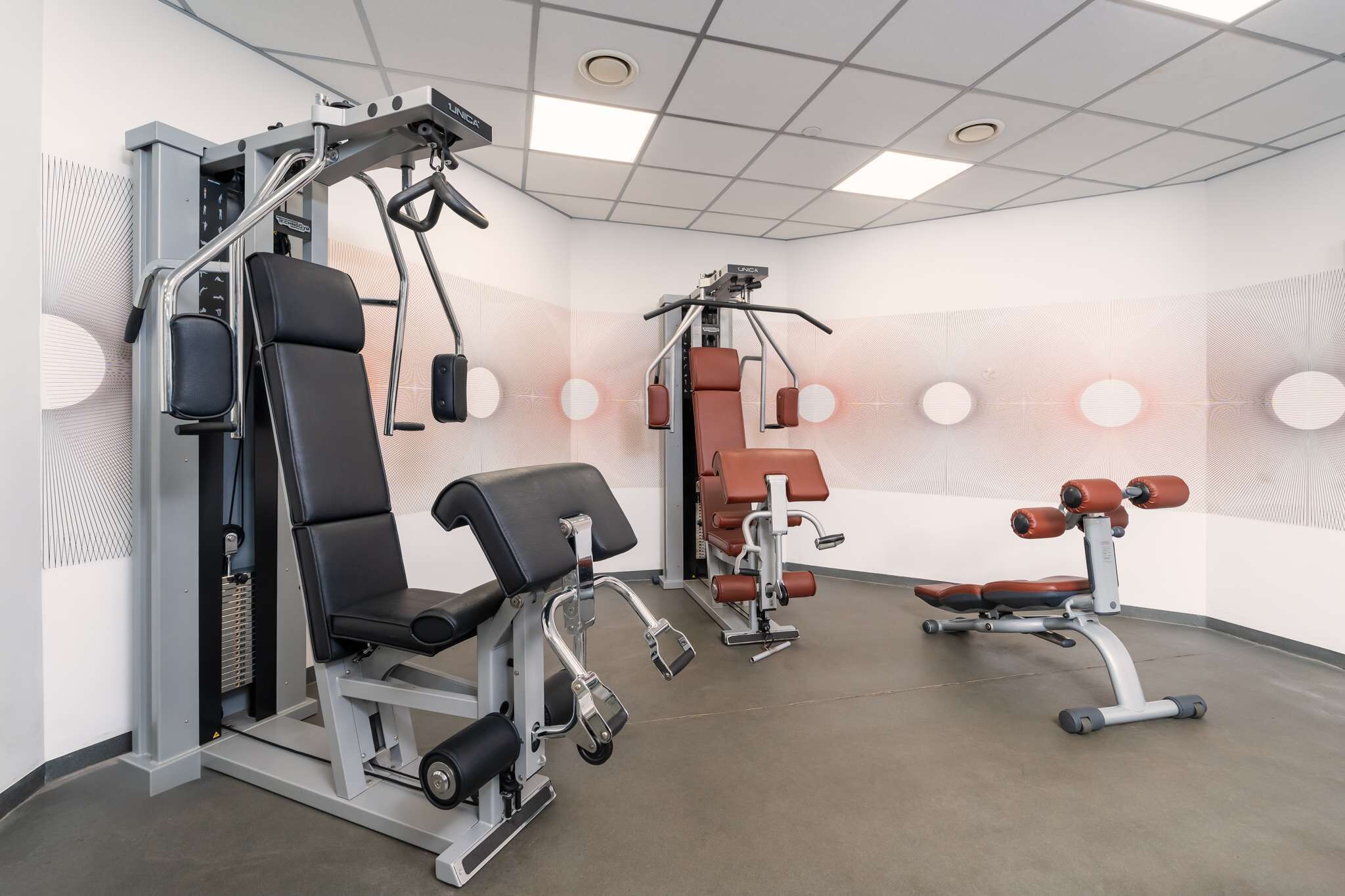 A modern gym with various exercise machines, including a bench press, leg press, and dumbbell rack.