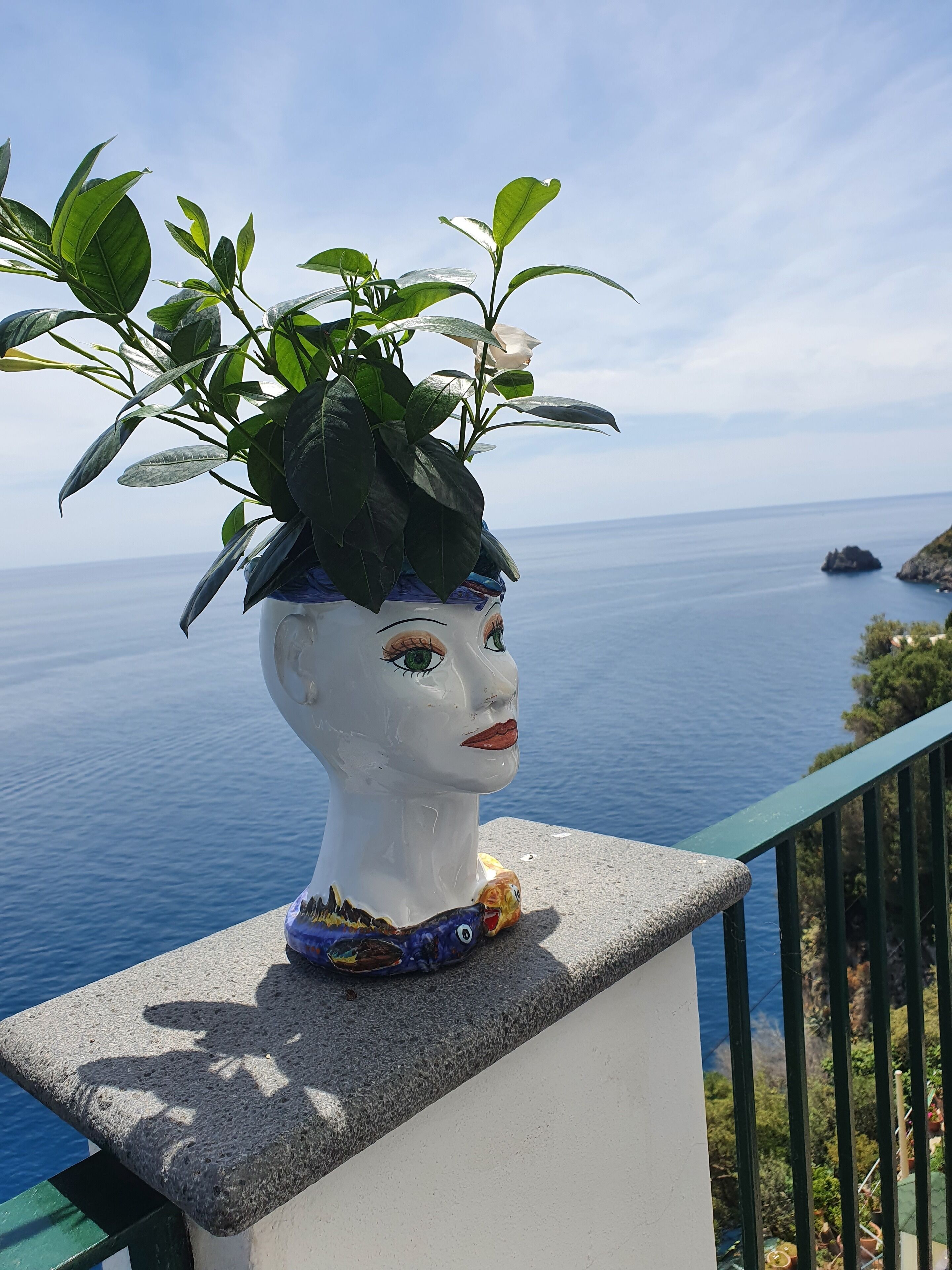 منطقة الاستقبال