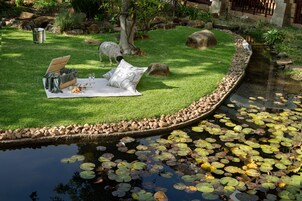 Un montaje para picnic con una manta, comida y bebidas en una zona cubierta de césped cerca de un estanque con nenúfares.