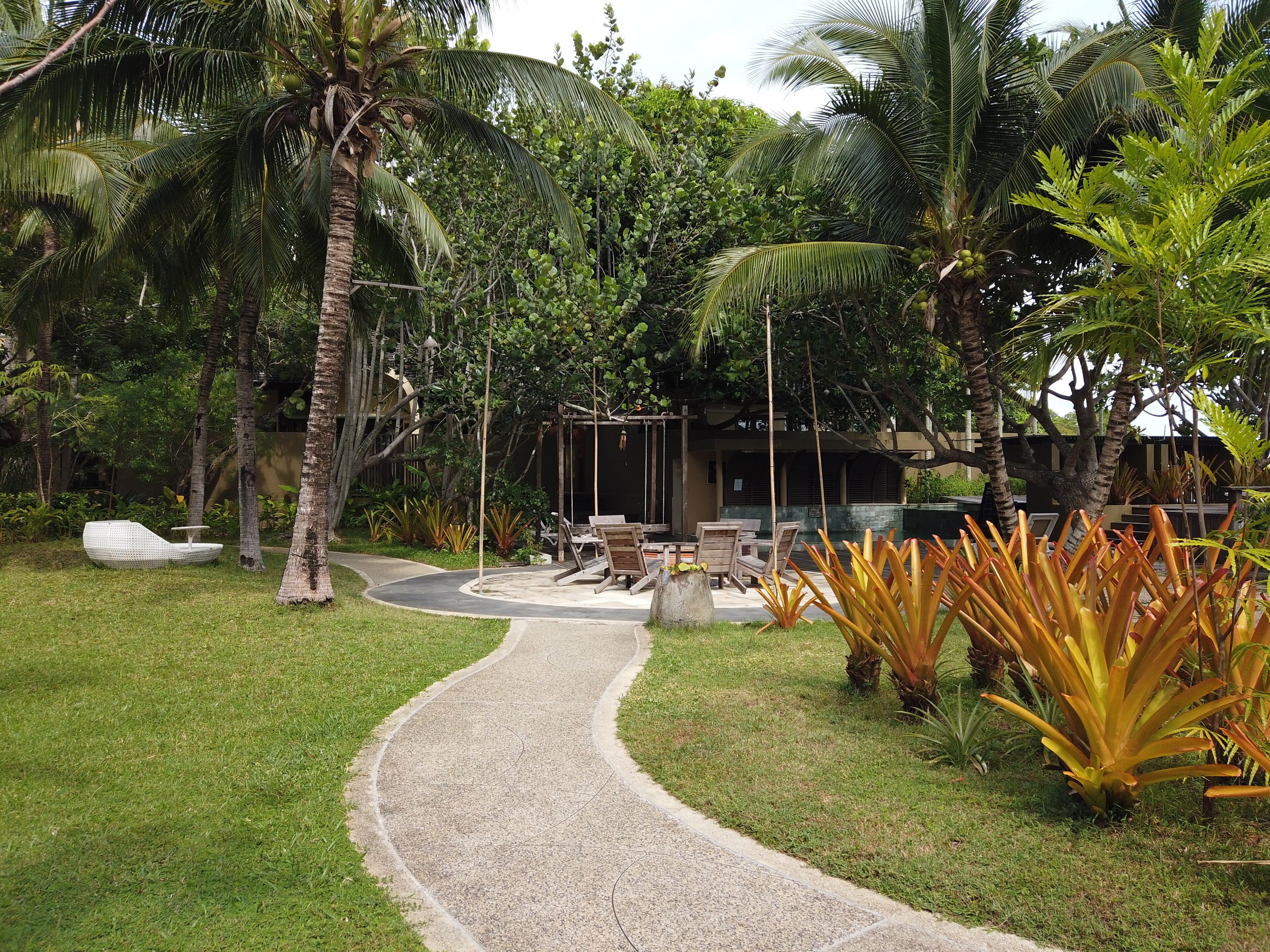 A tropical garden with a paved path, seating area, and palm trees.