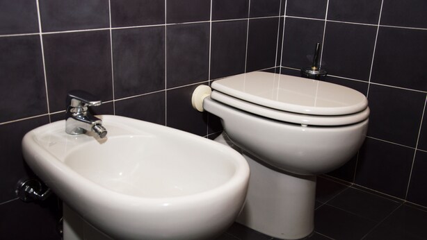 A bathroom with a bidet and toilet.