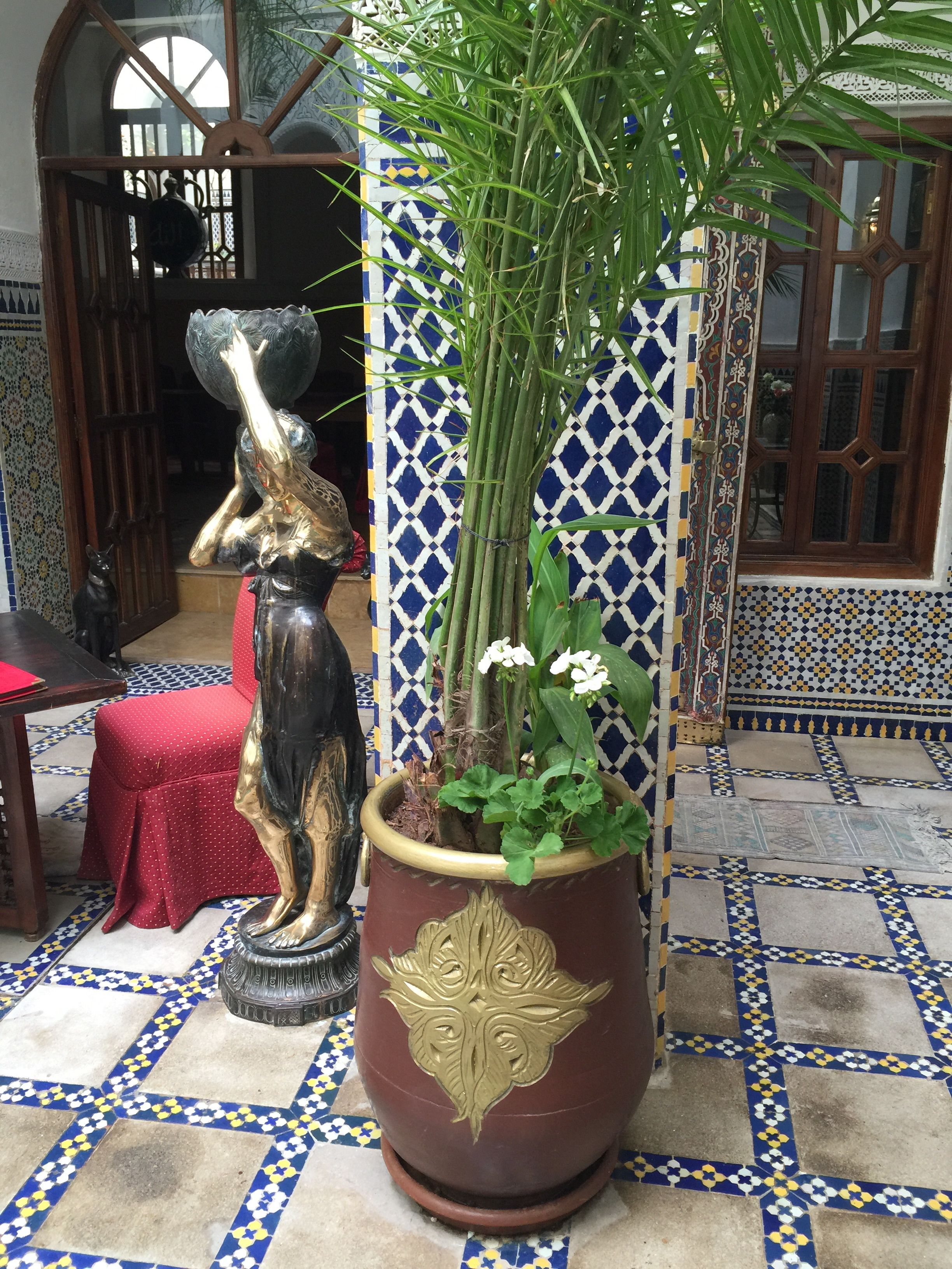 Photo - Riad Lumières du Sud