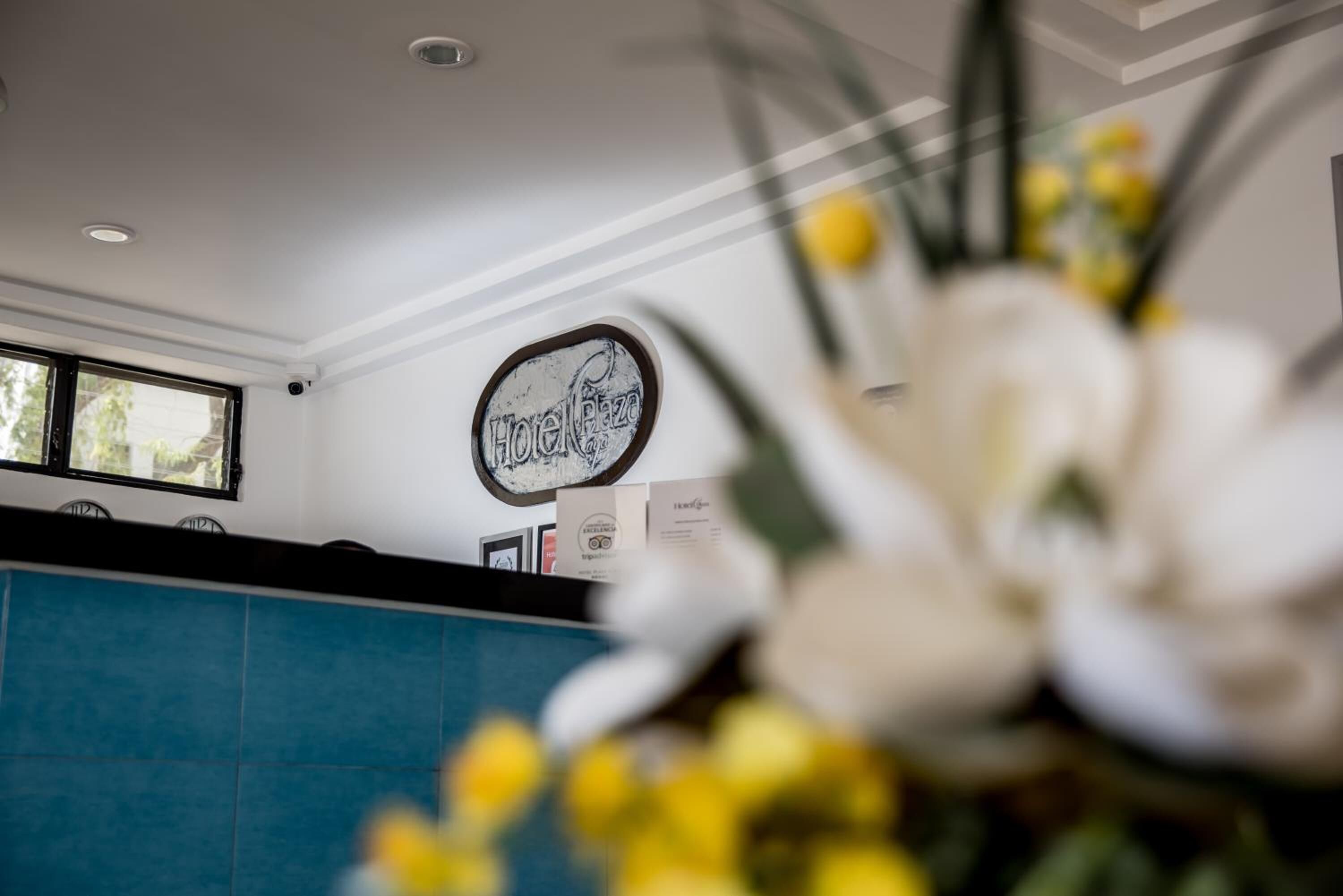 Photo - Hotel Plaza Playa