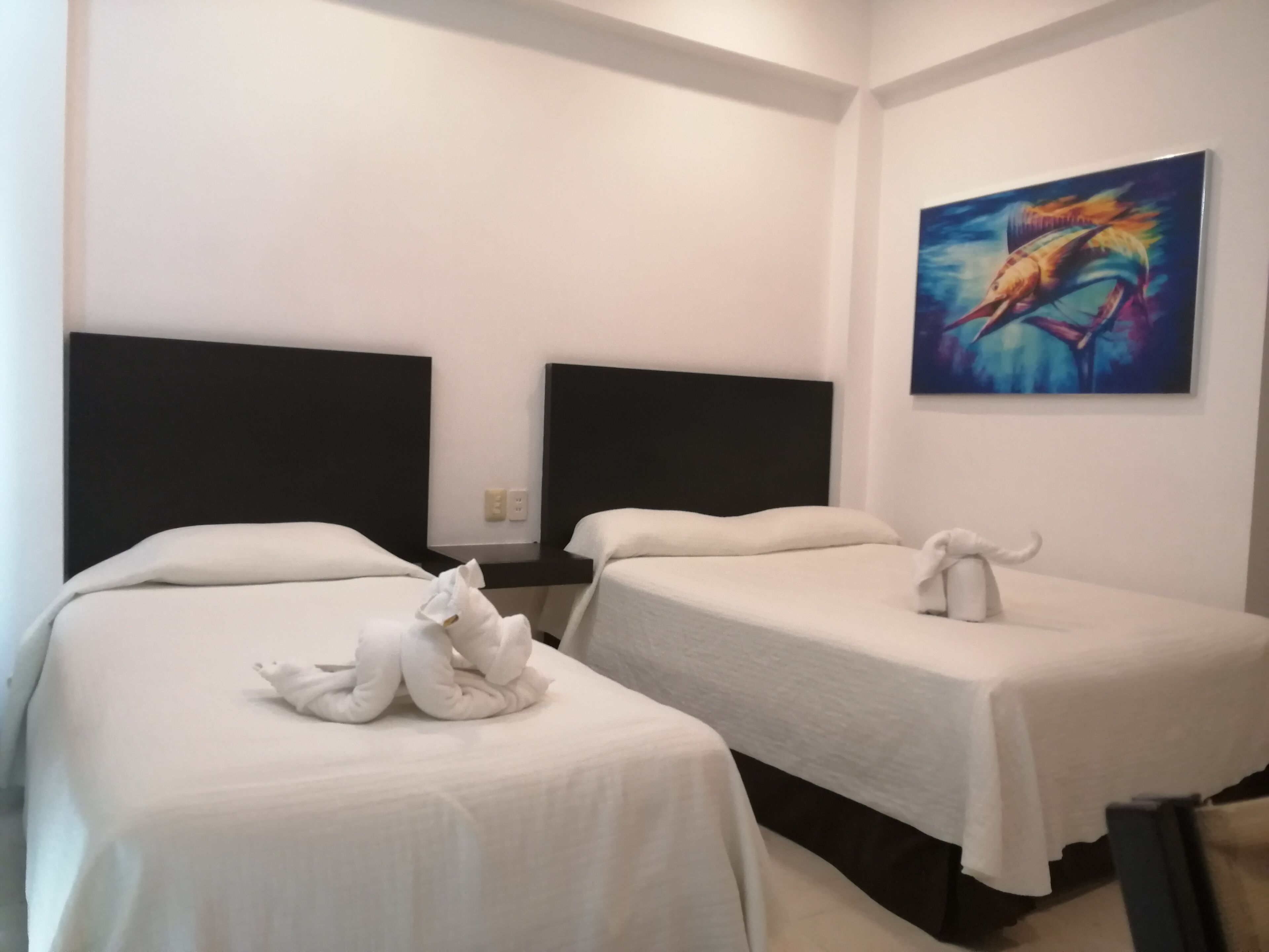 Photo - Hotel Plaza Playa