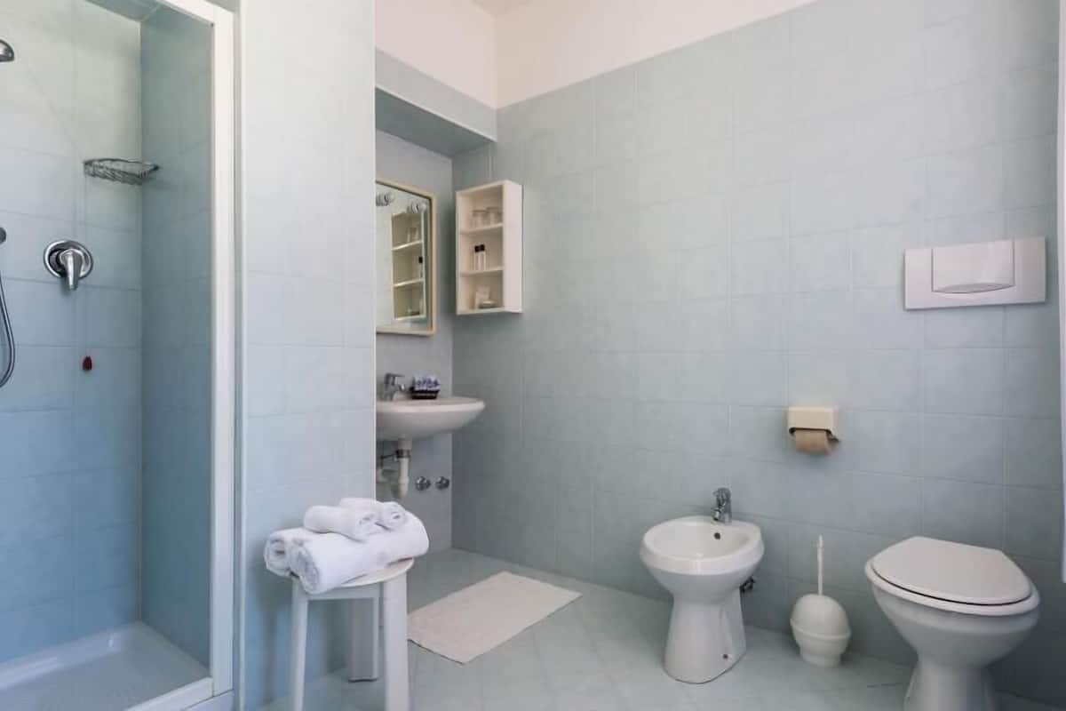 shower, hair dryer, bidet, towels