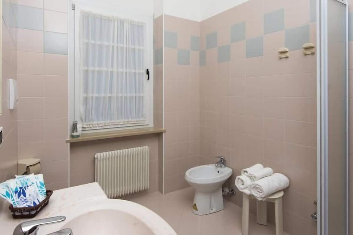 shower, hair dryer, bidet, towels