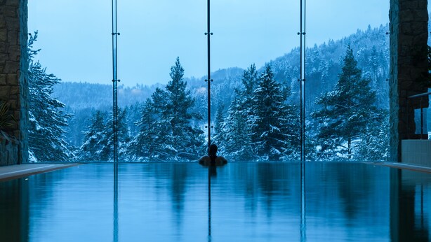 A large indoor swimming pool with a view of snow-covered trees and mountains. - Hotel SPA Dr Irena Eris Krynica Zdrój 12+ (Krynica-Zdroj)