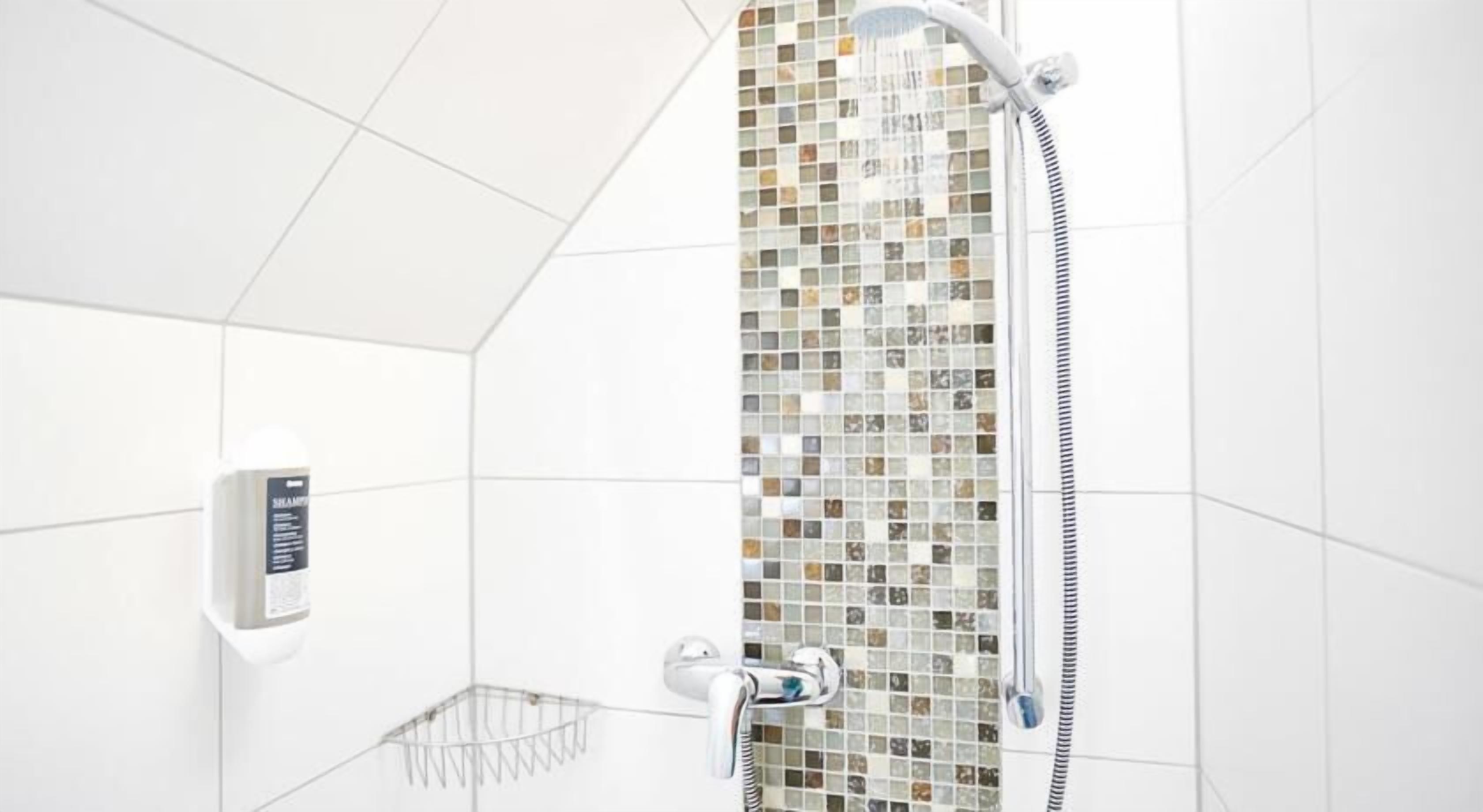 basic single room, garden view | bathroom | shower, free toiletries, hair dryer, towels