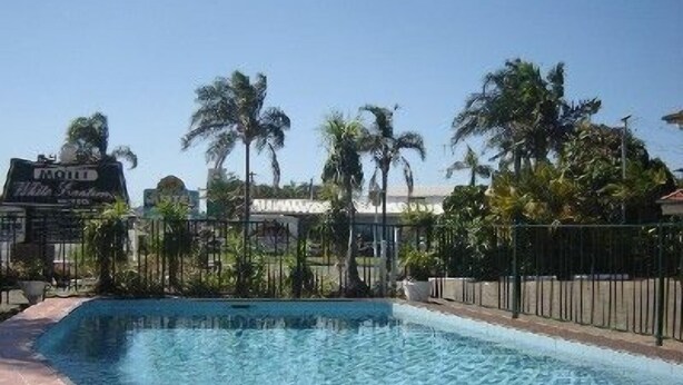 Una piscina con borde de azulejos, rodeada por una valla de metal y palmeras.