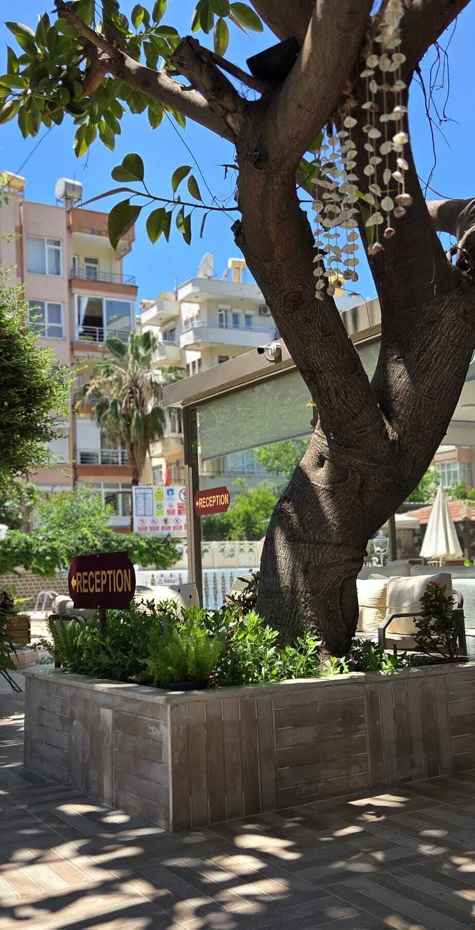 Photo - Palmen Apart Hotel