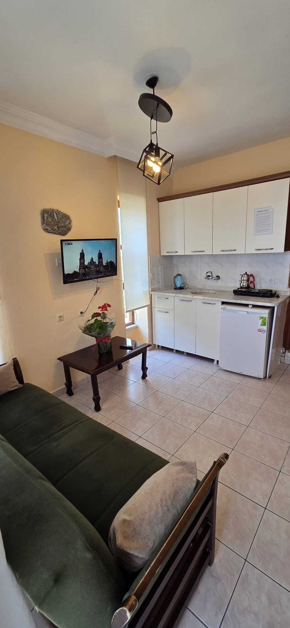 Una sala de estar con un sofá, una mesita con un florero, un televisor montado en la pared y una zona de cocina con armarios y un refrigerador.