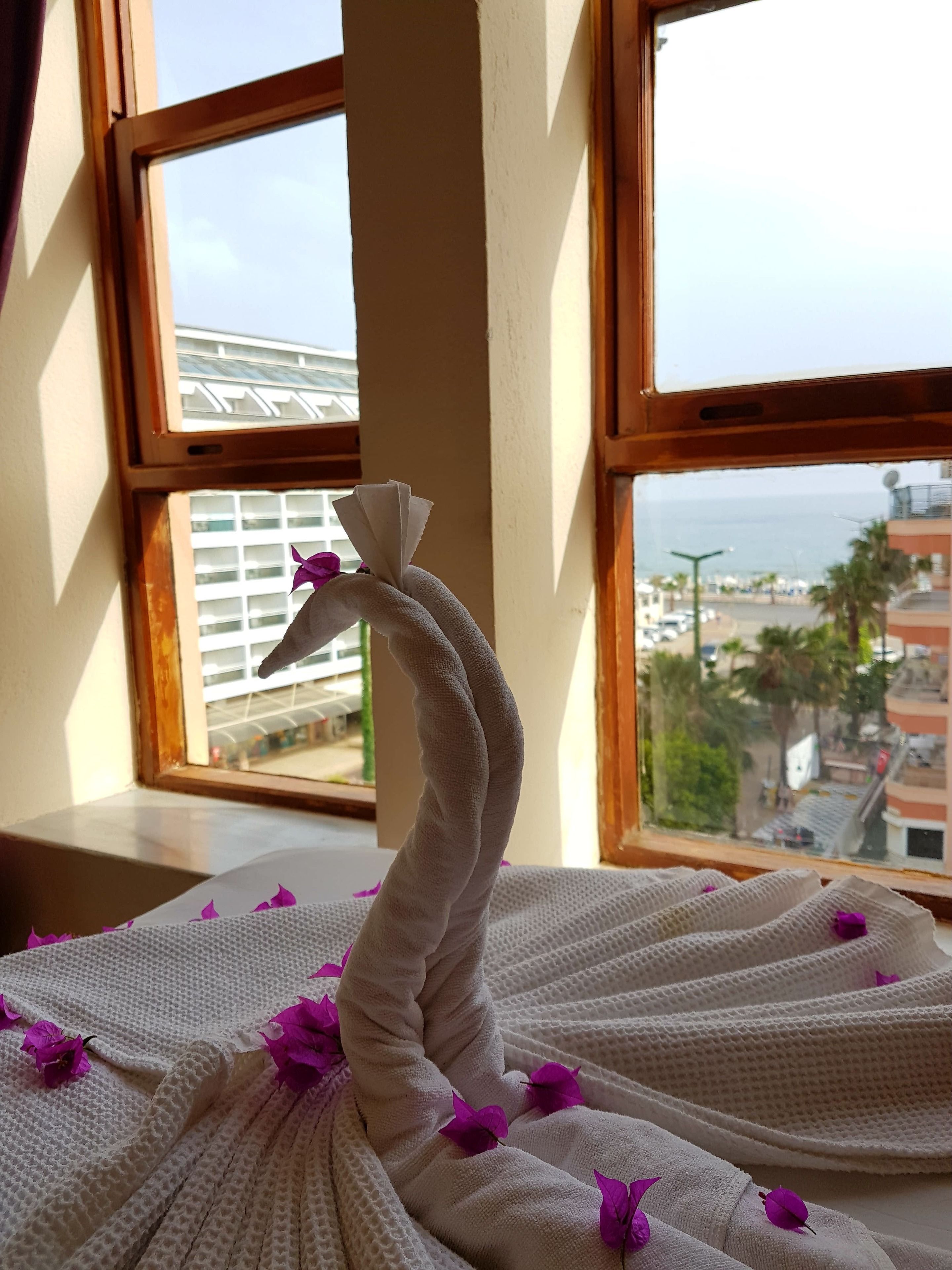 Foto - Palmen Apart Hotel