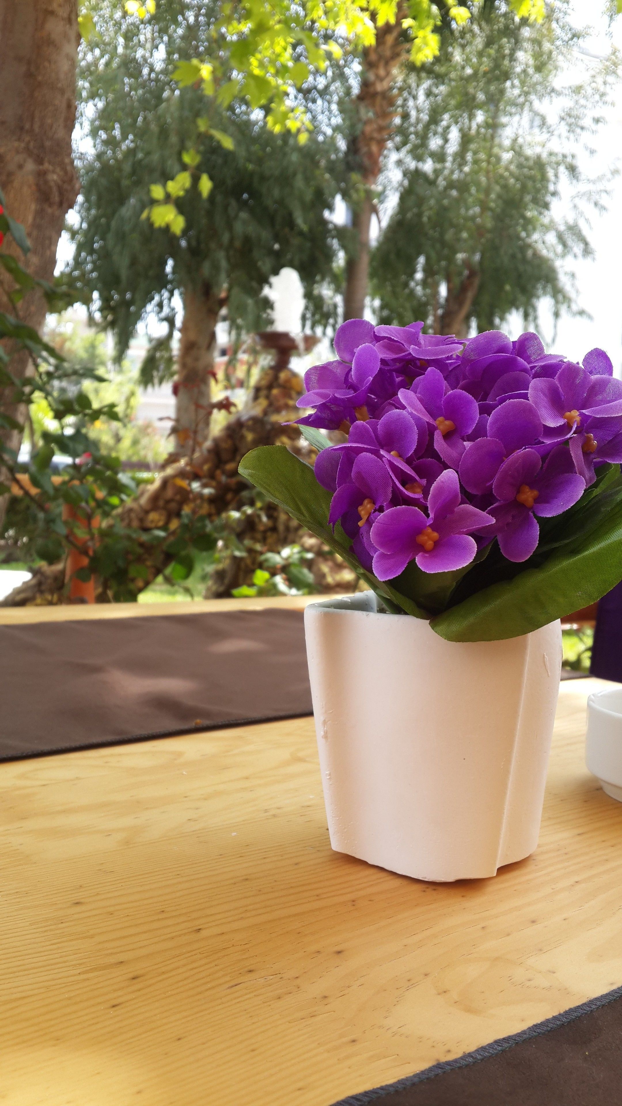 Photo - Palmen Apart Hotel