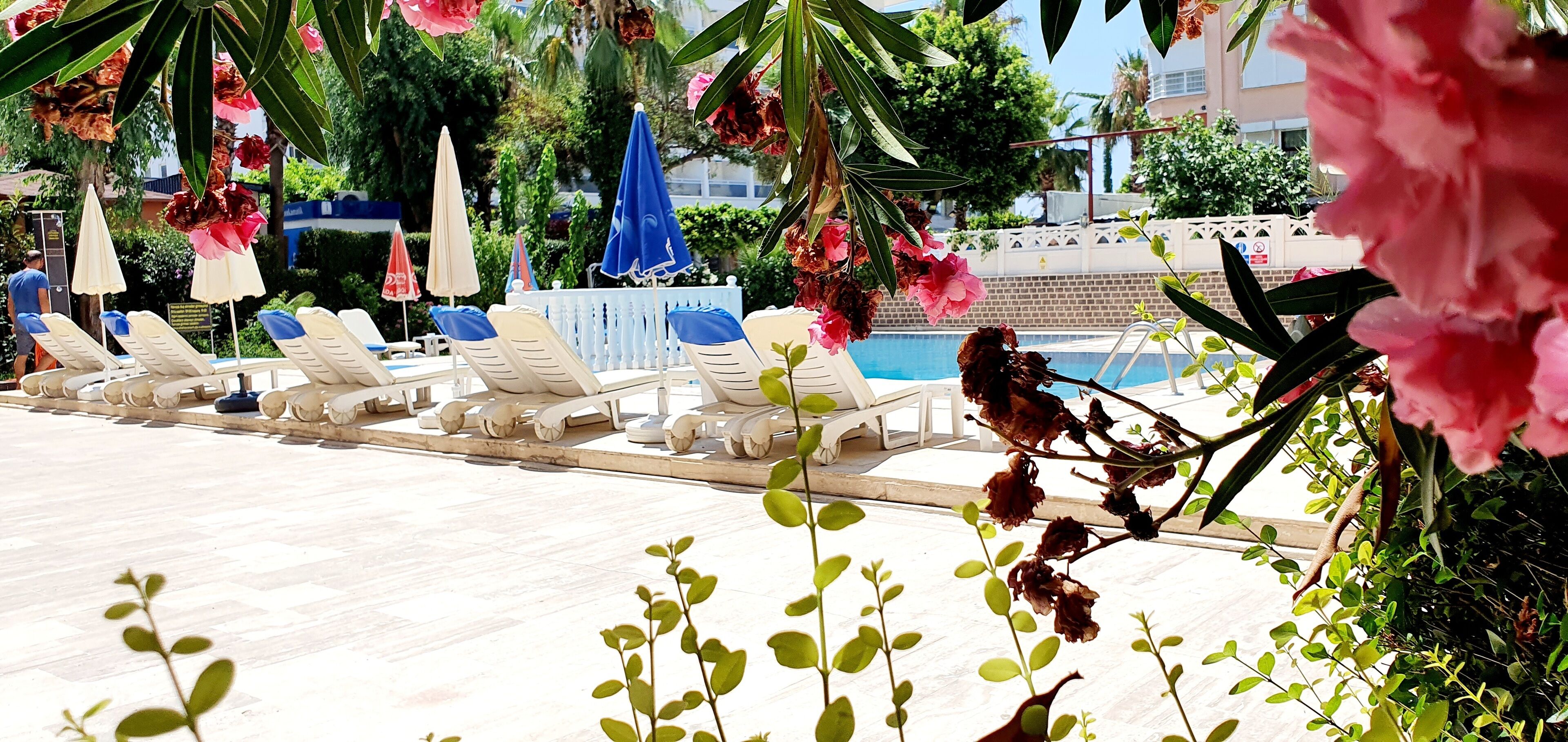 Photo - Palmen Apart Hotel