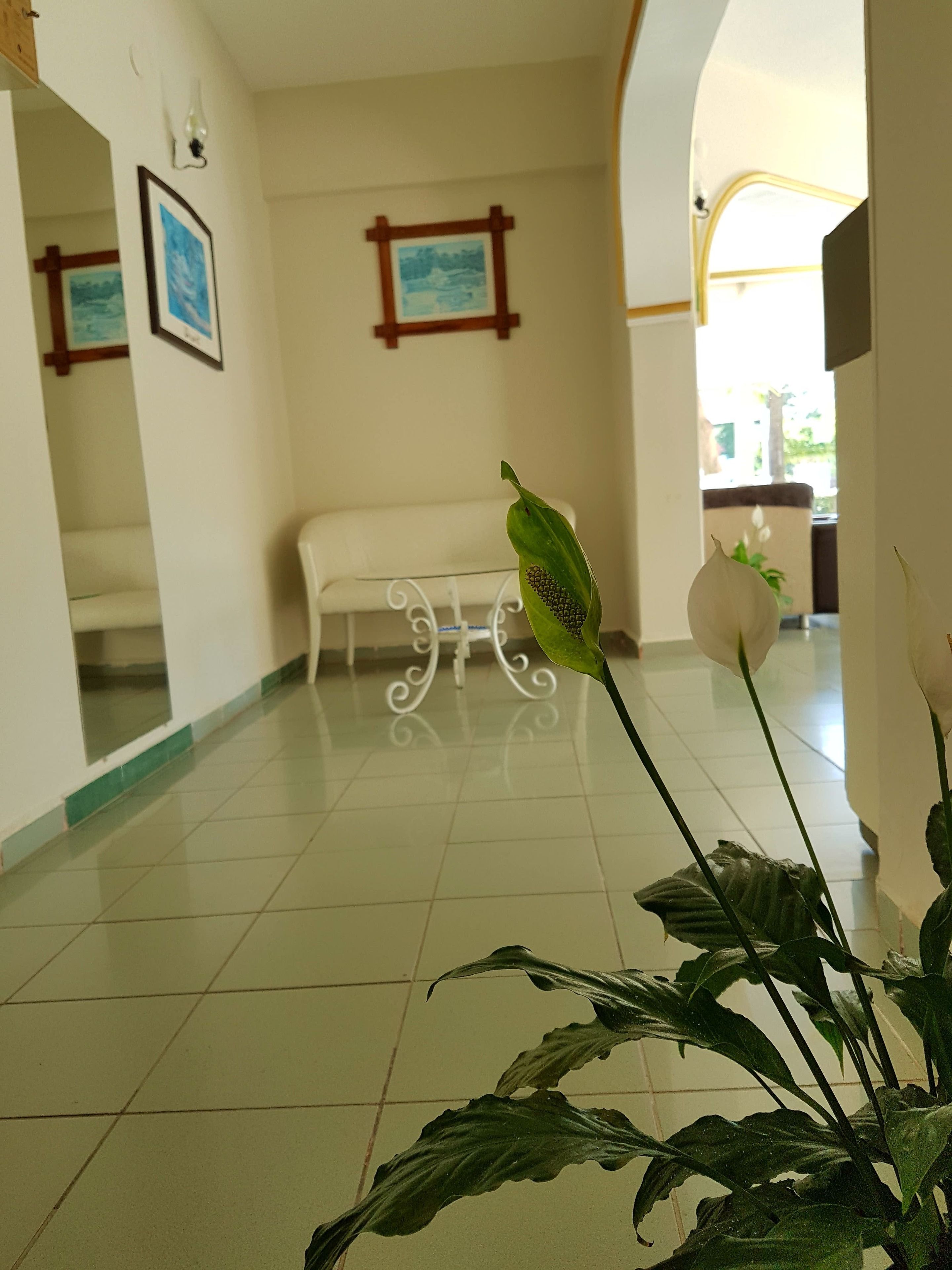 Photo - Palmen Apart Hotel