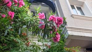 Fachada del Hotel Aristocrat con un llamativo toldo azul y flores rosadas.