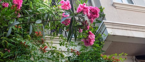Fachada del alojamiento
