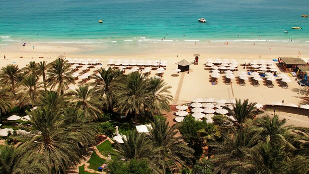 Un resort en la playa con filas de tumbonas y sombrillas, palmeras y vistas al océano.