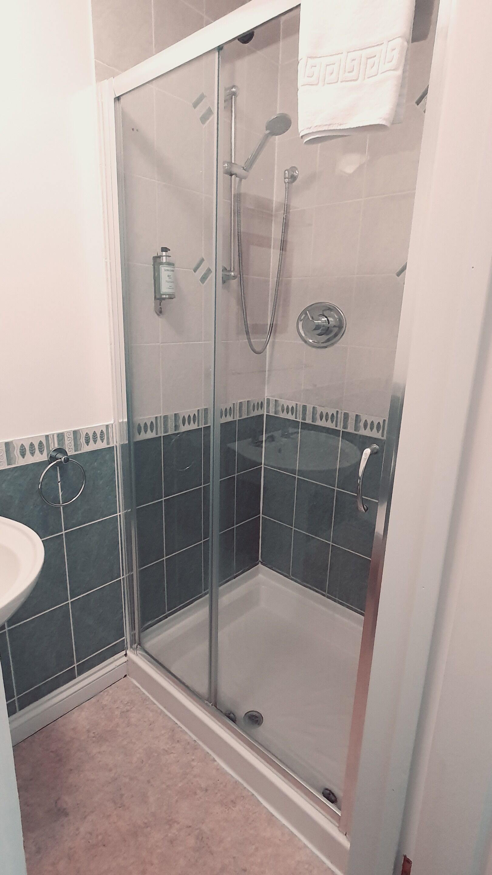 A glass-enclosed shower stall with a handheld showerhead and a wall-mounted faucet.