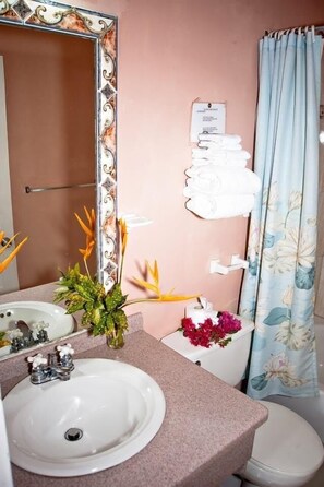 Deluxe Room, 1 Queen Bed | Bathroom - Hotel Chez Marie Alish (Gros Islet)