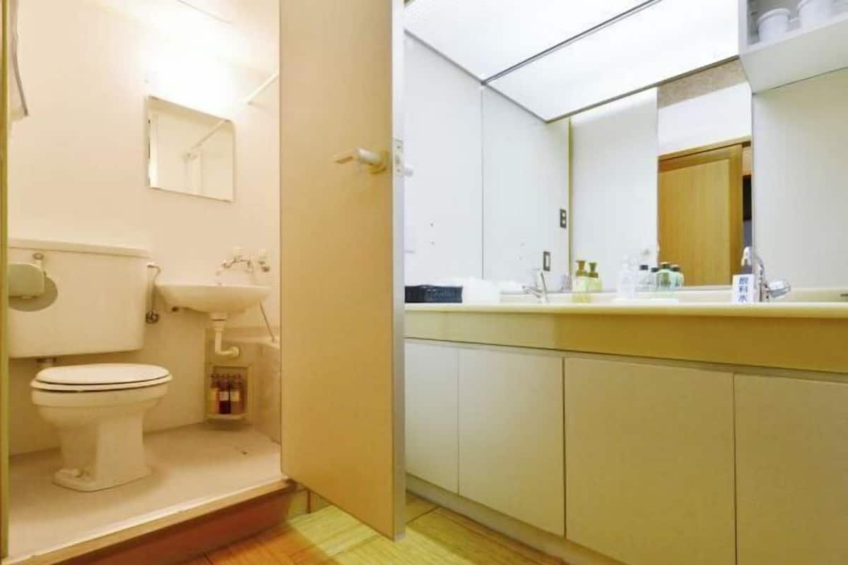 Free toiletries, hair dryer, slippers, electronic bidet