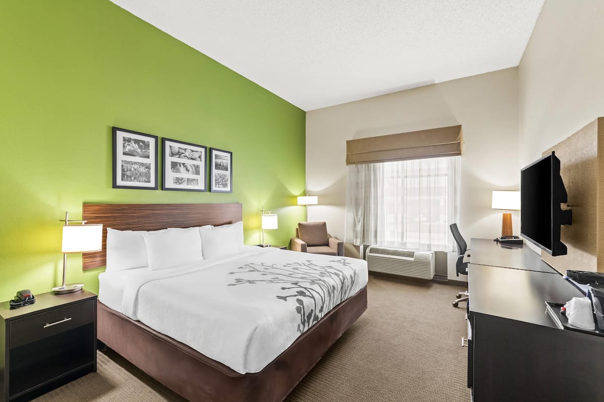 Room, 1 King Bed, Accessible, Non Smoking