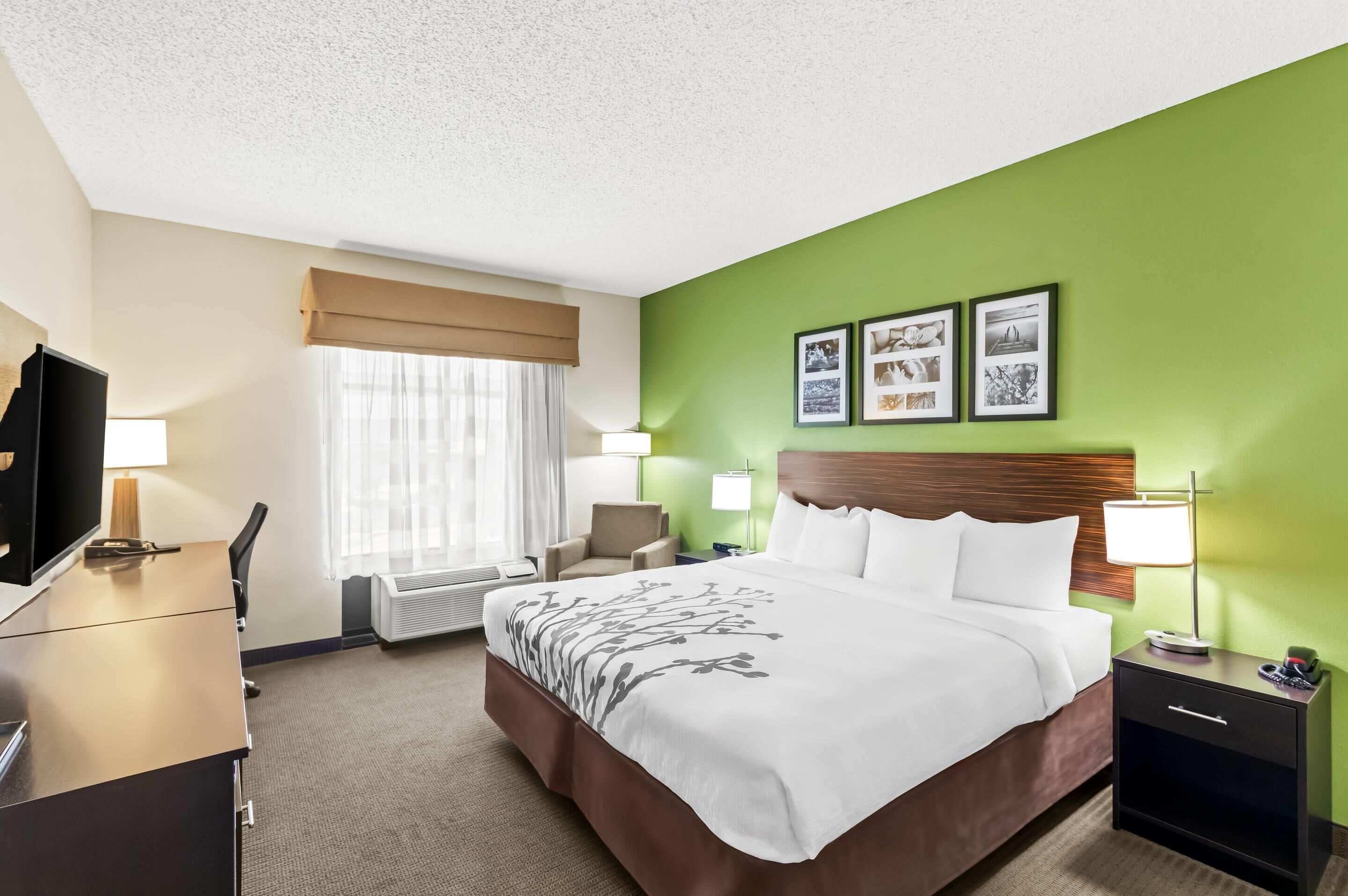 Rom – standard, 1 kingsize-seng, ikke-røyk | Wi-fi (inkludert) og vekkerklokke