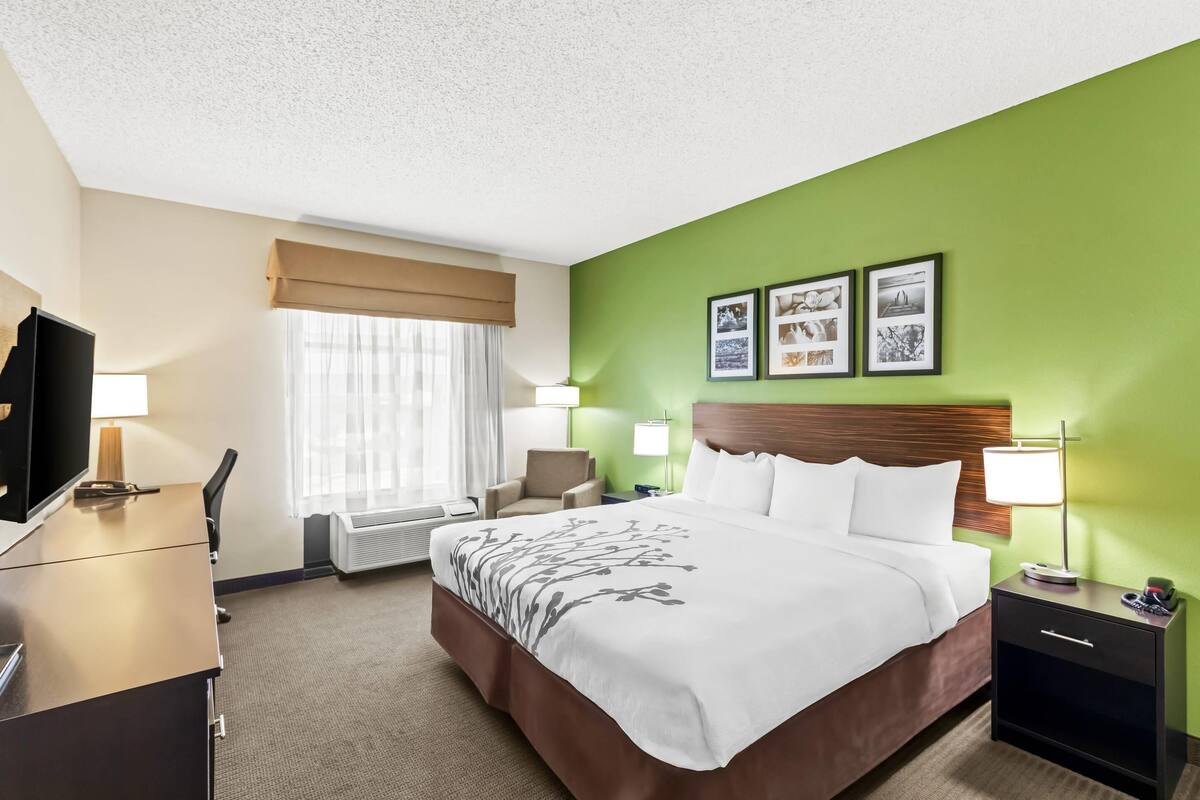 Rom – standard, 1 kingsize-seng, ikke-røyk | Wi-fi (inkludert) og vekkerklokke