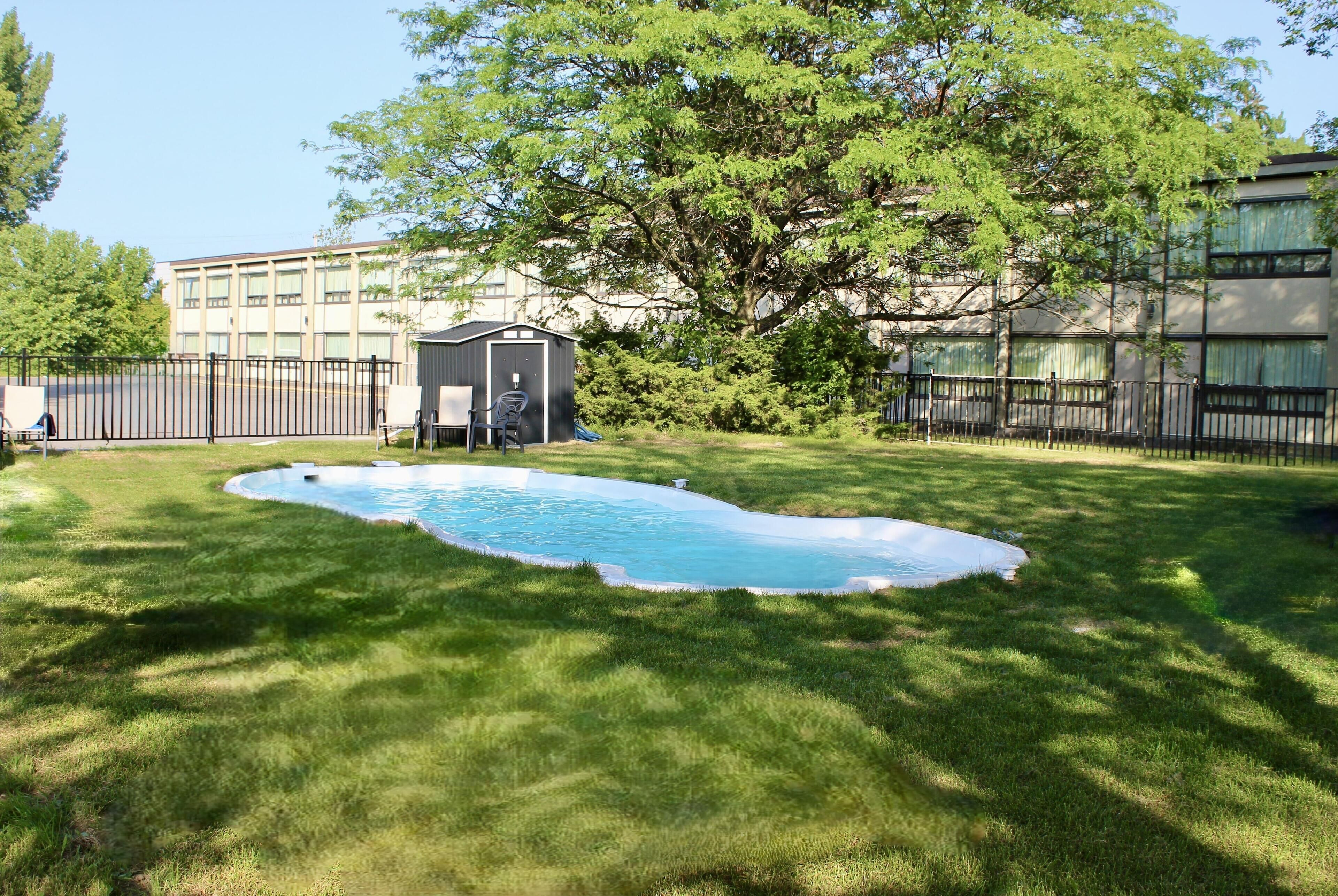 Un patio trasero con piscina, un cobertizo pequeño y un árbol grande.