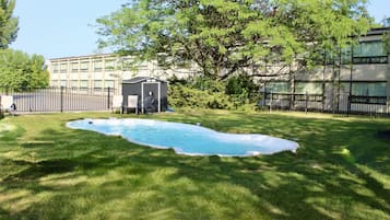 Un patio trasero con piscina, un cobertizo pequeño y un árbol grande.