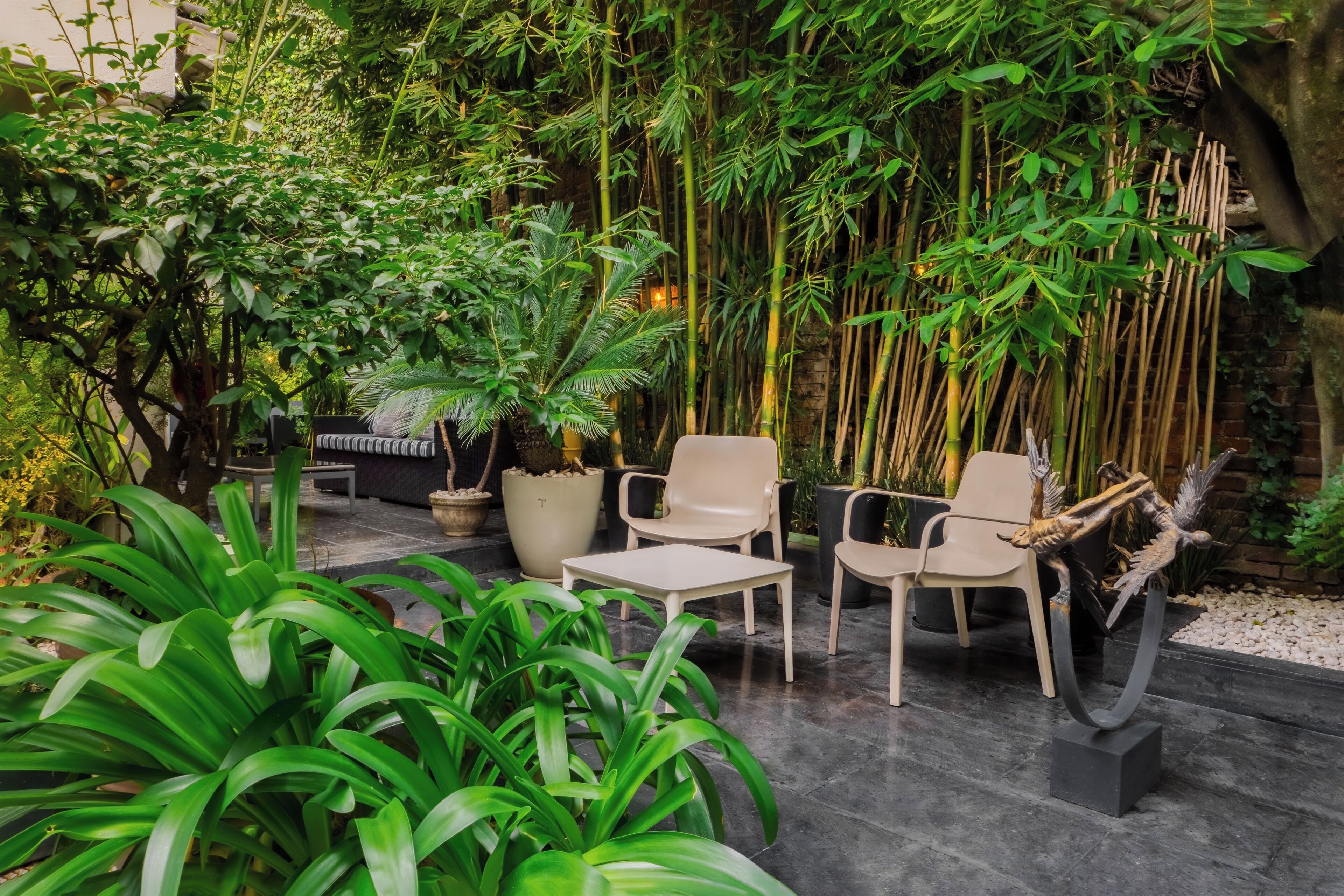Photo - Hotel Villa Condesa